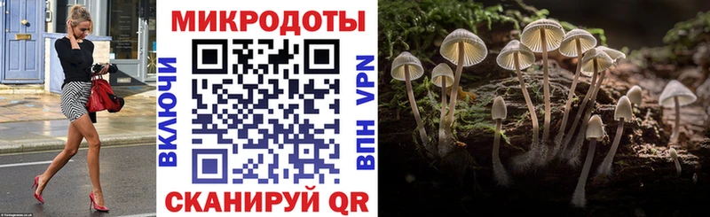 цена Рыбное Галлюциногенные грибы Cubensis